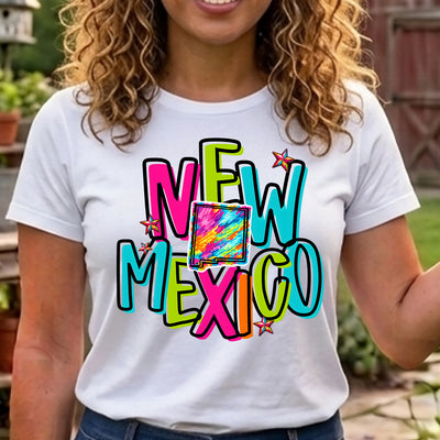 New Mexico Retro Neon State DTF Transfer | Ready to Press Colorful Graphic